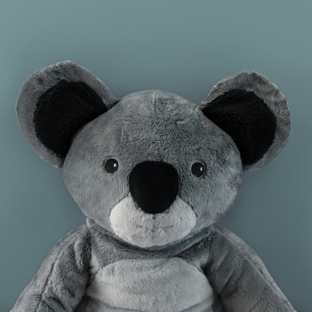 Lotgenootje Koala 2kg