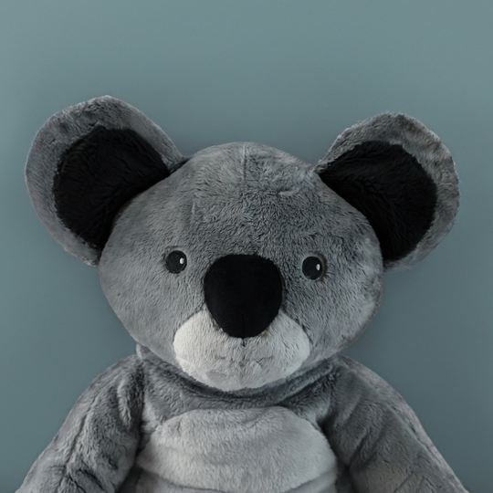 Lotgenootje Koala 2kg