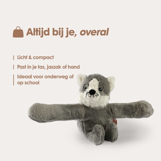 Mini Lotgenootje Kat