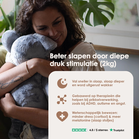 img-dutch