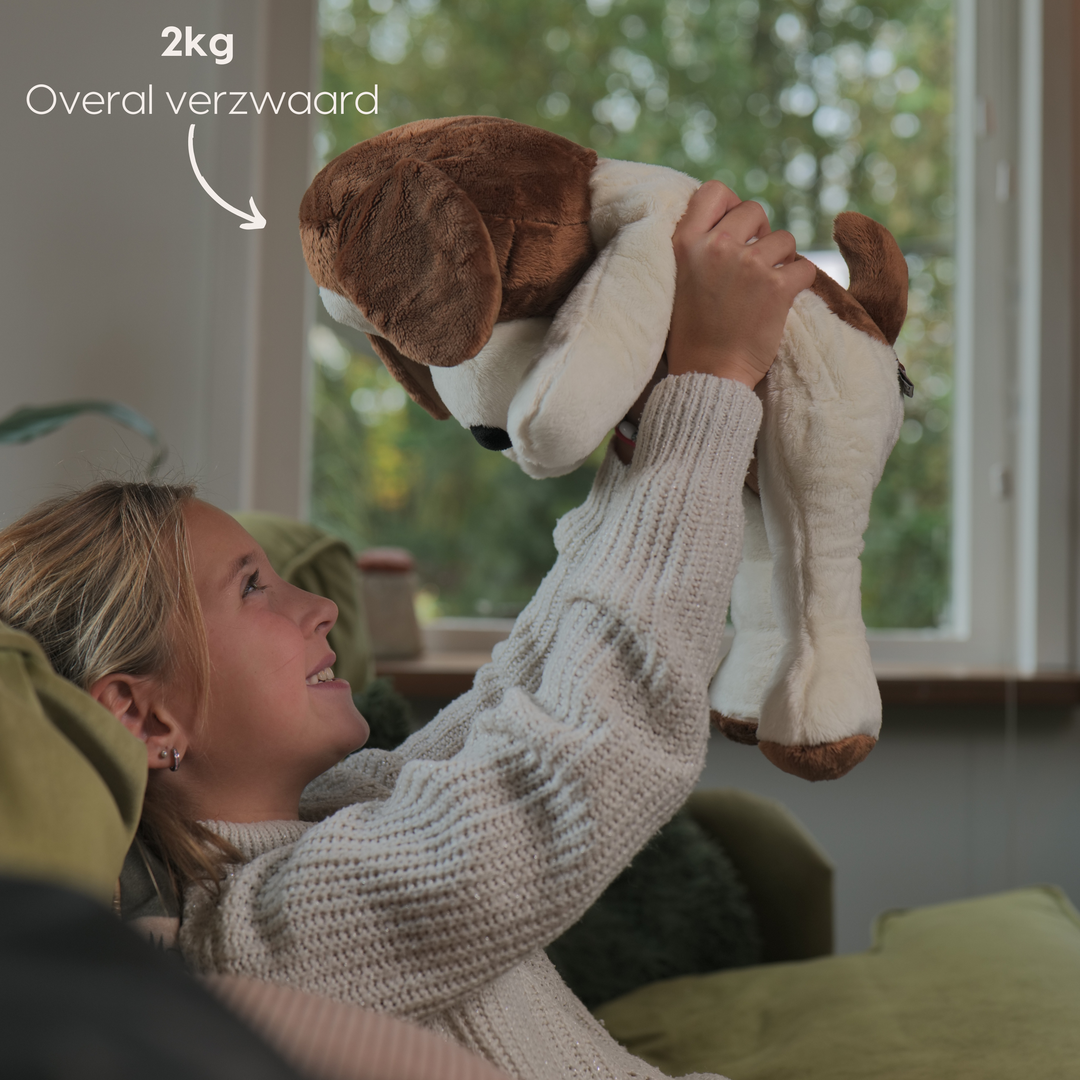 Big Baloo Verzwaringsknuffel Hond 70cm Knuffels - Verzwaarde Big Baloo Verzwaringsknuffel Hond 70cm Knuffels - Verzwaarde