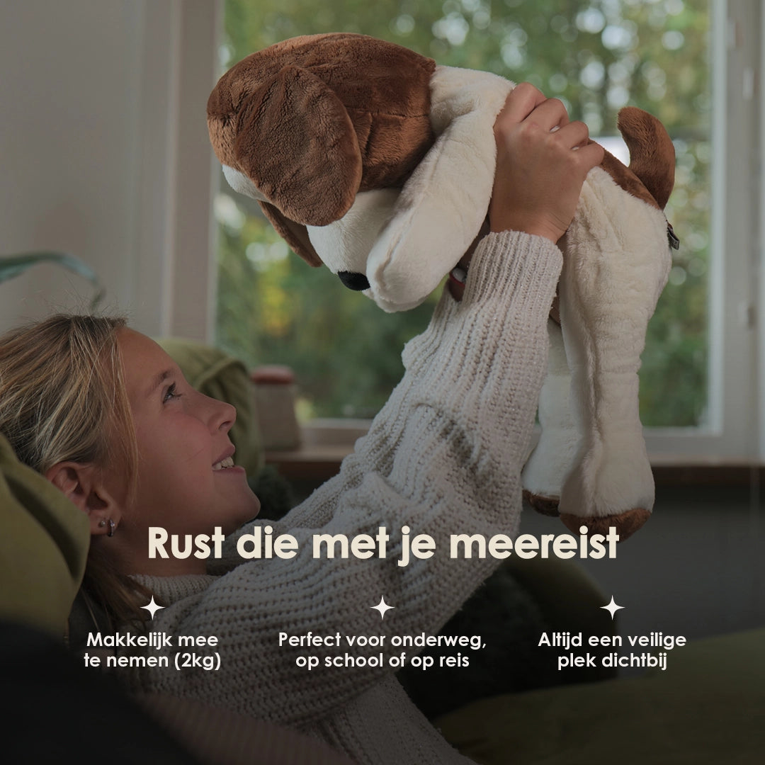 img-dutch