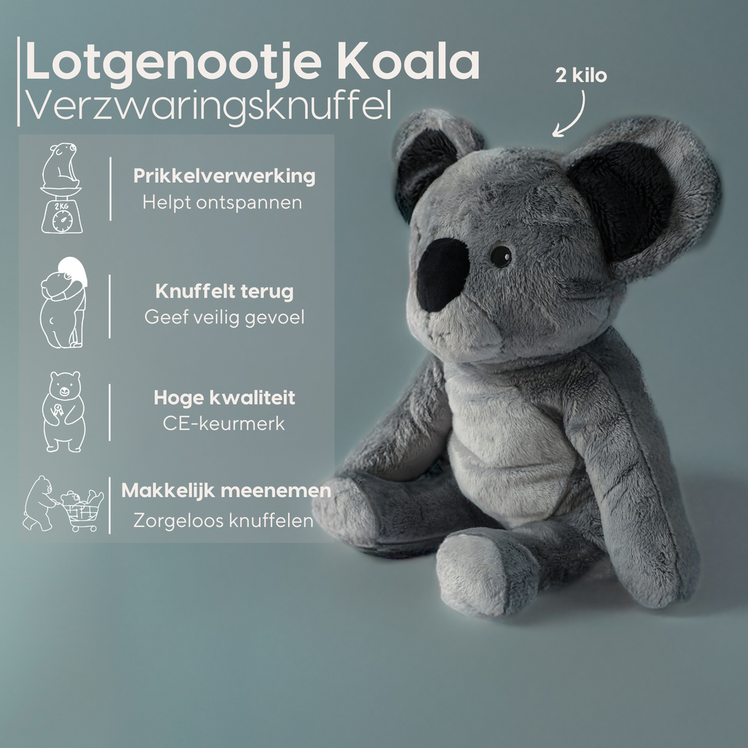 Lotgenootje Koala 2kg