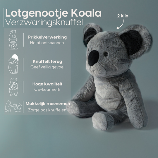 Lotgenootje Koala 2kg
