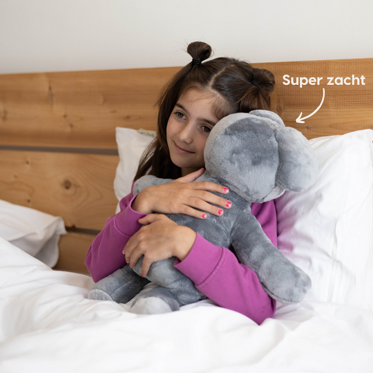 Lotgenootje Koala 2kg