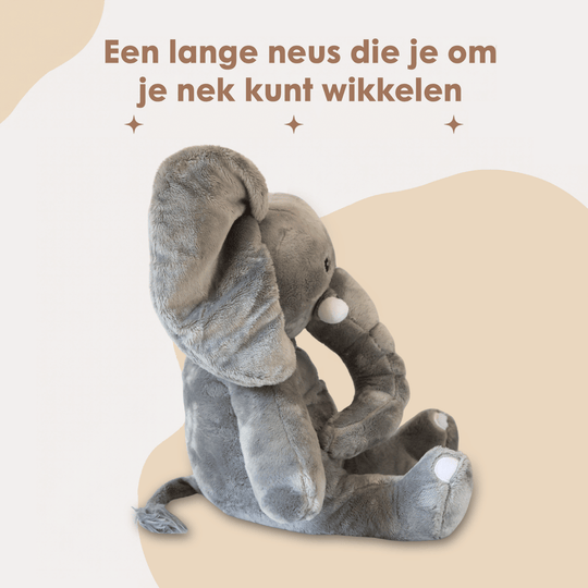 img-dutch