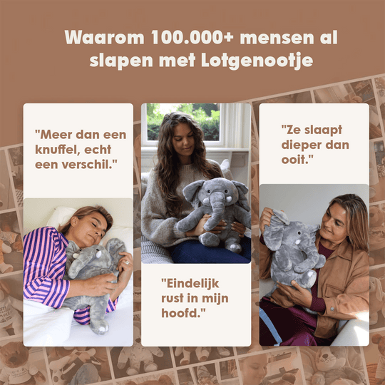img-dutch