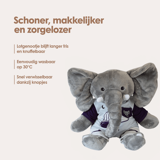 img-dutch