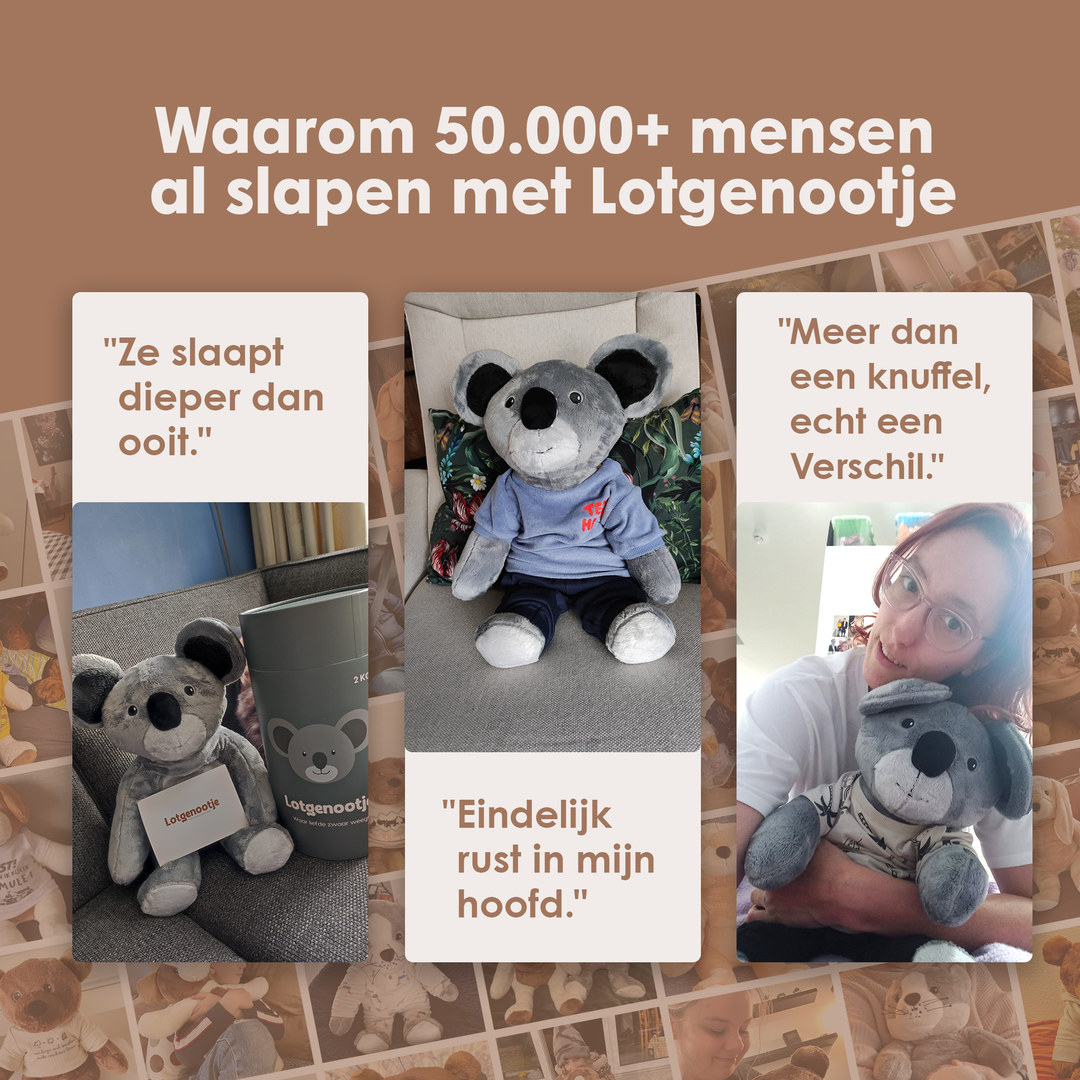 img-dutch