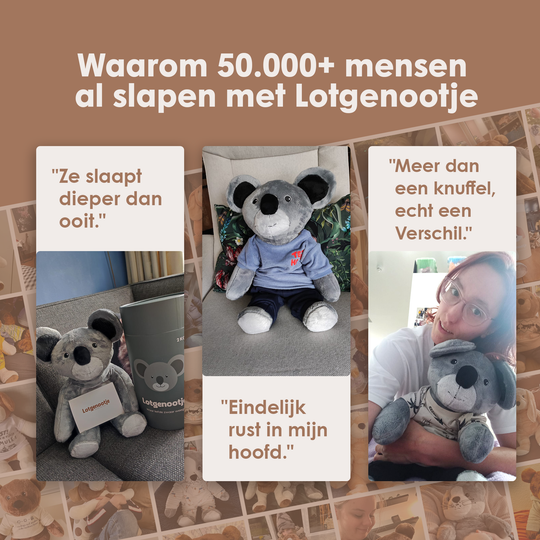 img-dutch
