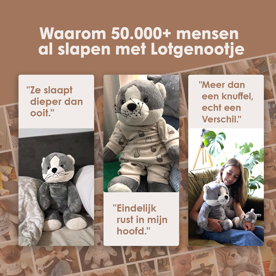 img-dutch