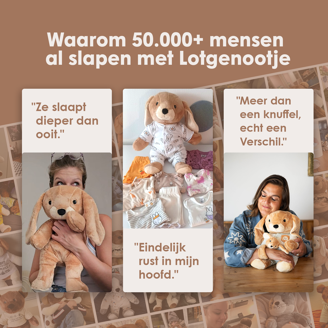 img-dutch