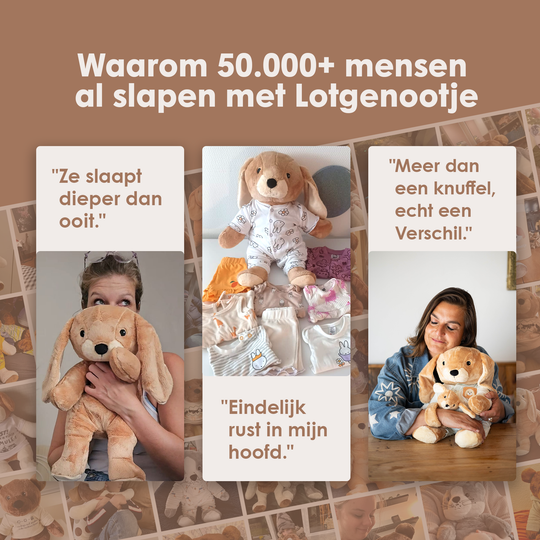 img-dutch