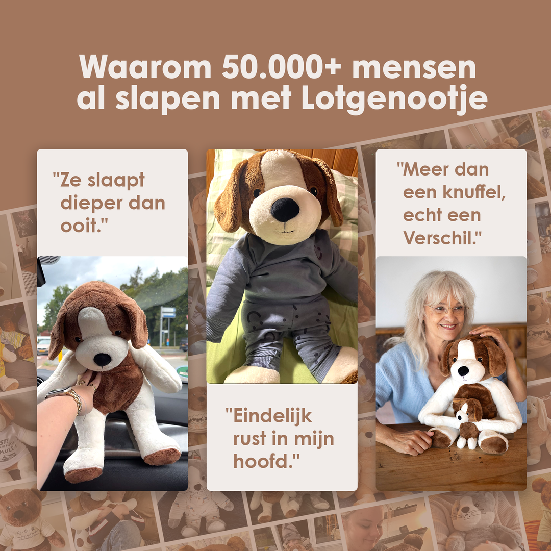 img-dutch