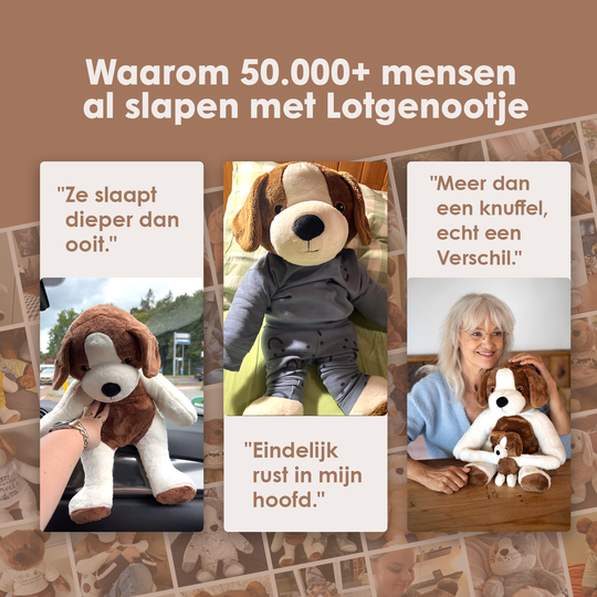 img-dutch
