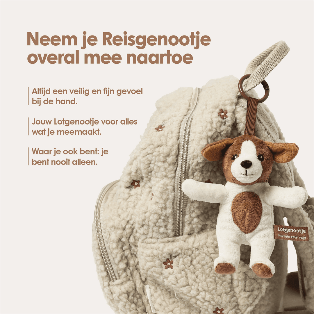 img-dutch