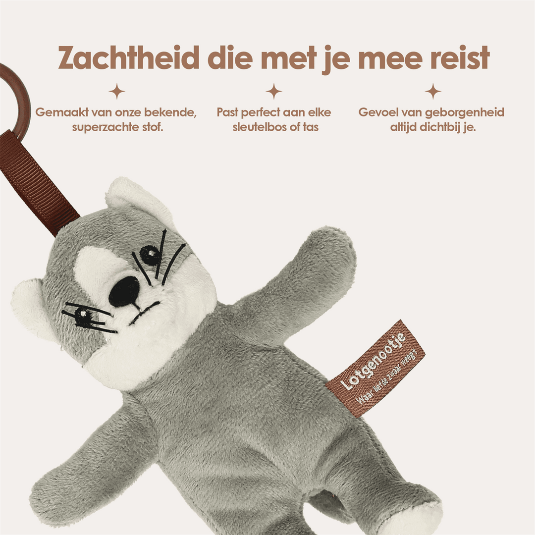 img-dutch