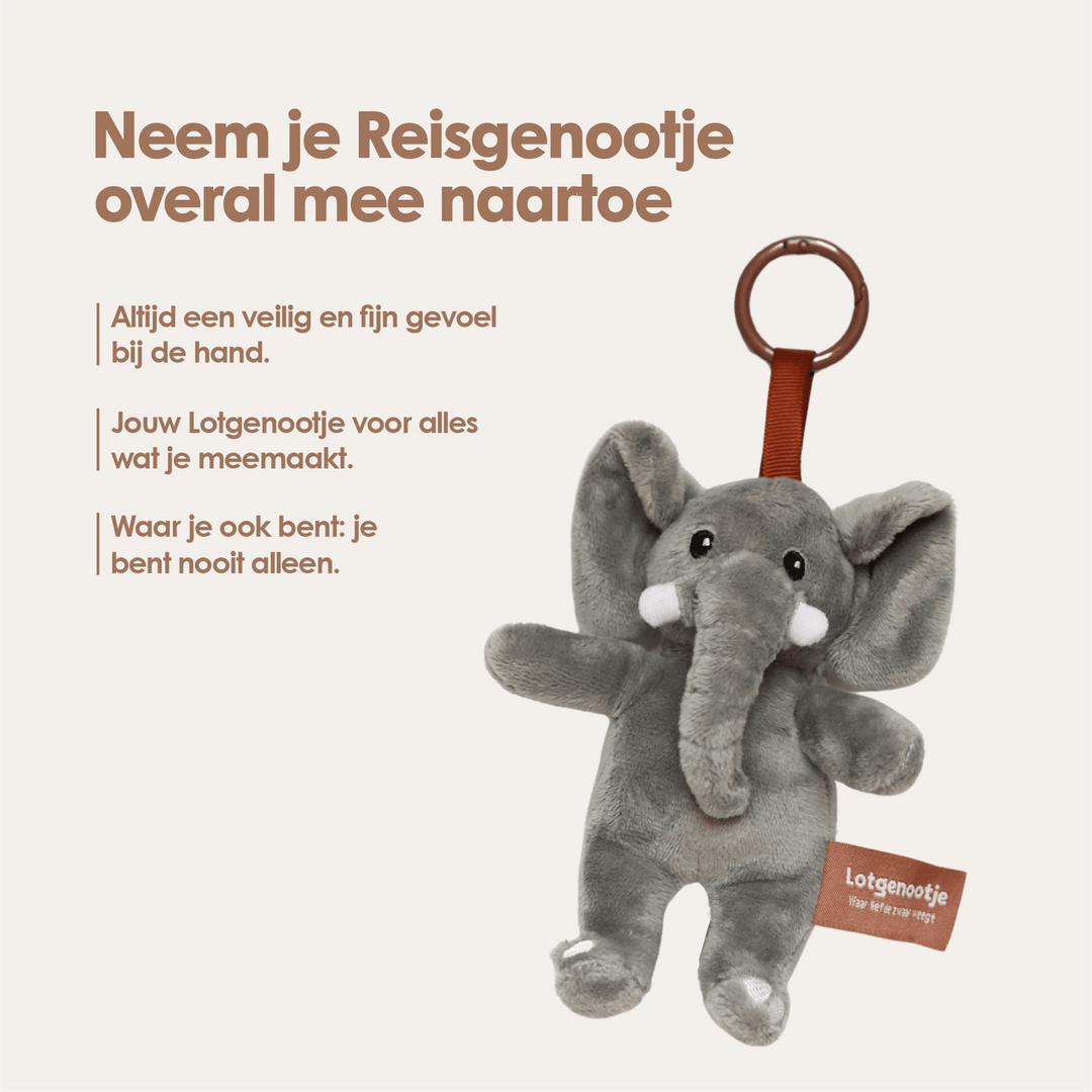 img-dutch