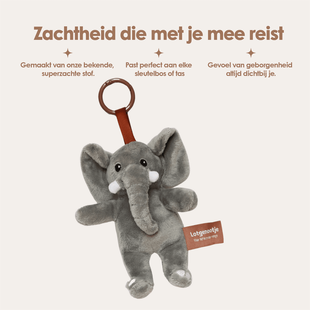 img-dutch