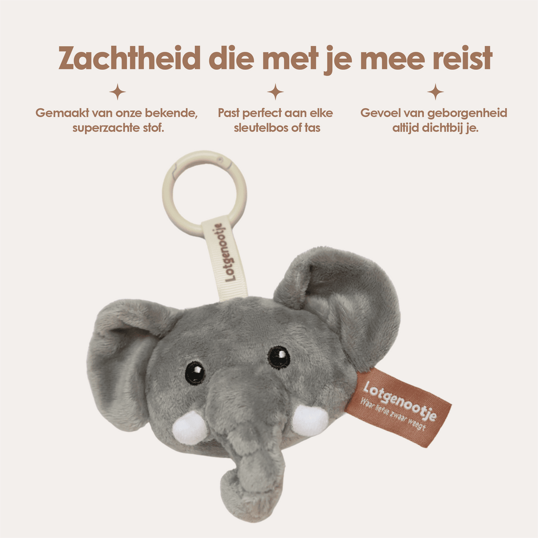 img-dutch