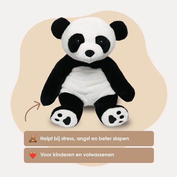 img-dutch
