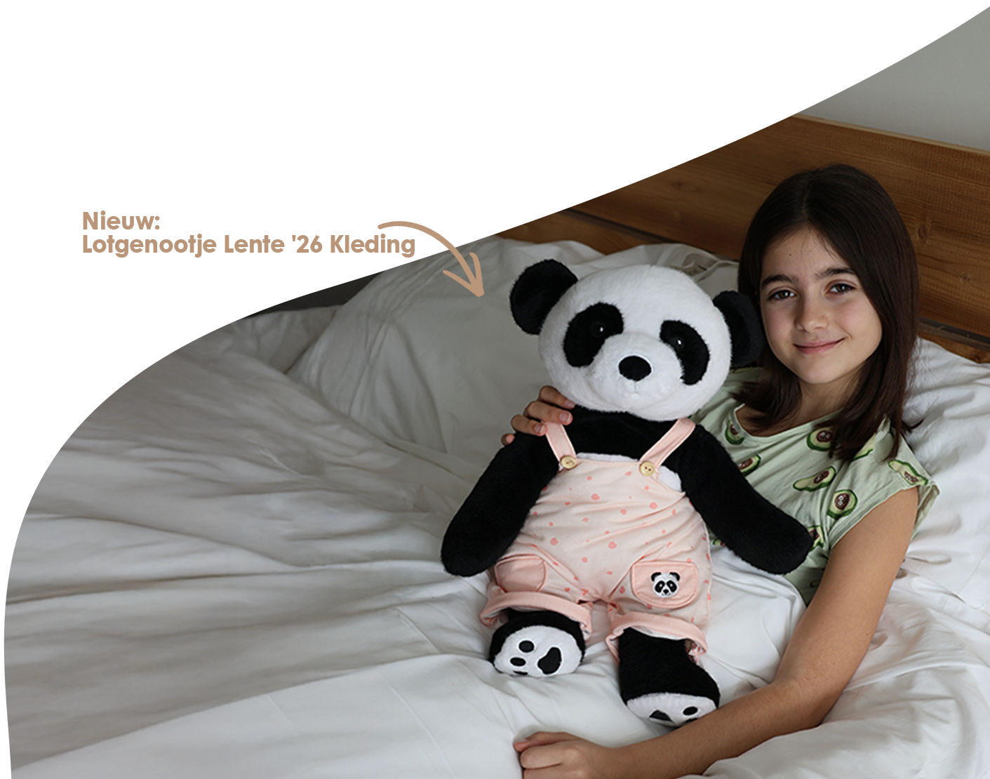 Section Background Img