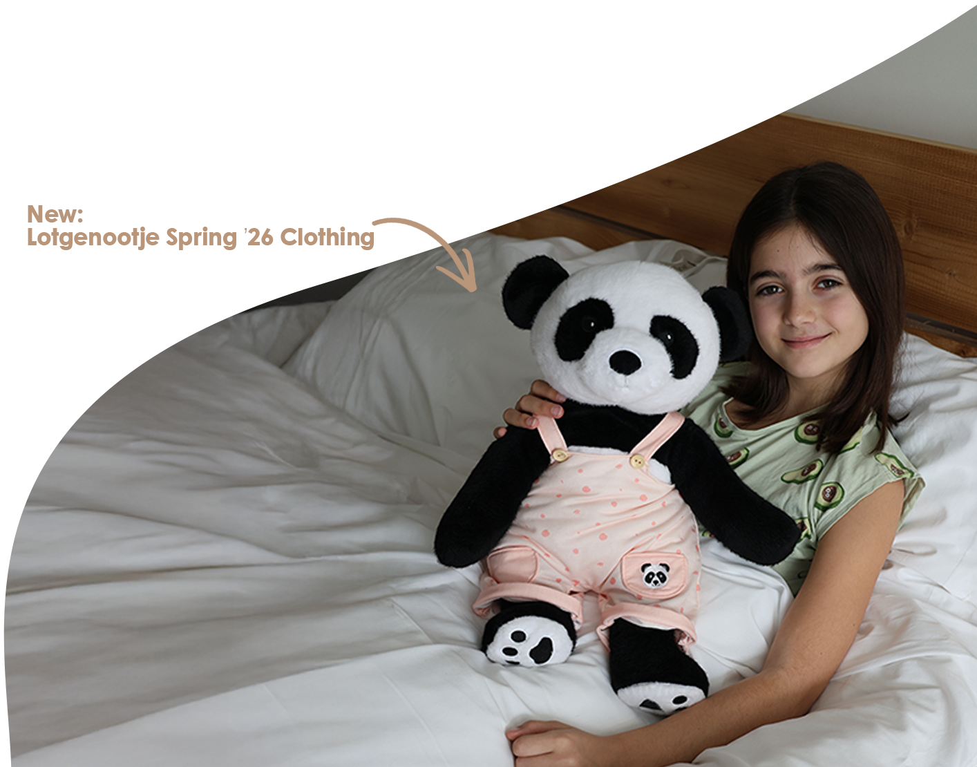 Section Background Img