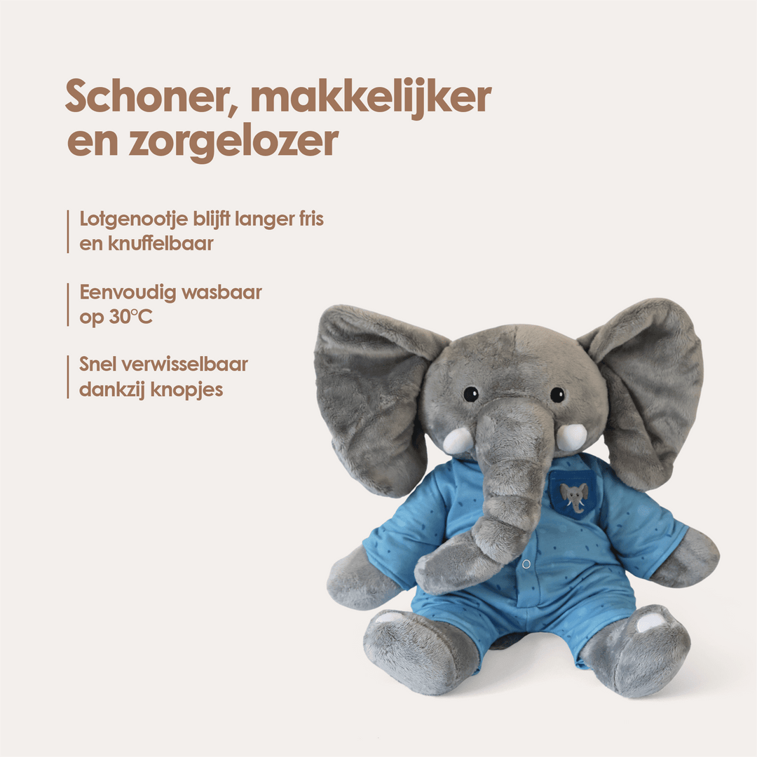 img-dutch