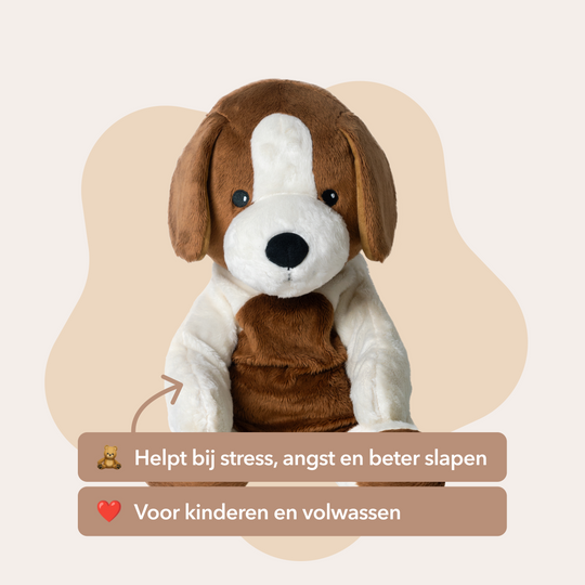 Lotgenootje Hond 2kg