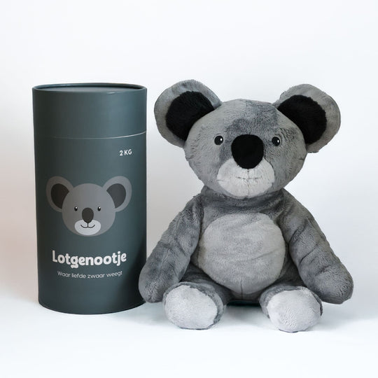 Lotgenootje Koala 2kg