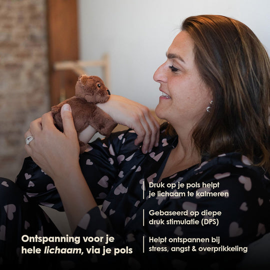 Mini Lotgenootje Beer