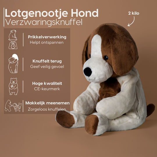 Bestseller voordeelbundel - Beer en hond - Je bespaart €33