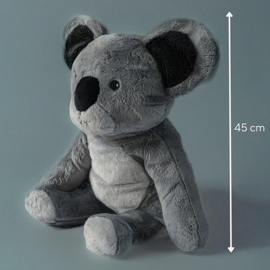 Lotgenootje Koala 2kg