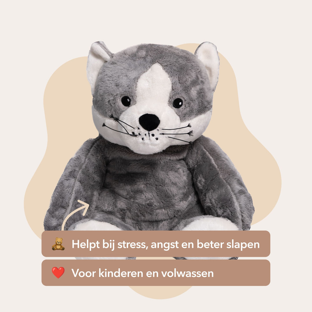 Mini &amp; Big Cat - You save €20