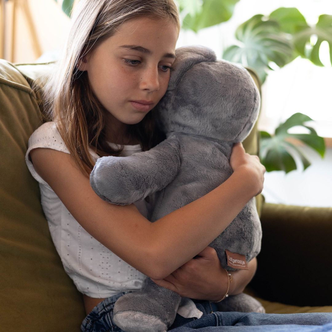 Mini & Grote Koala - Je bespaart €20