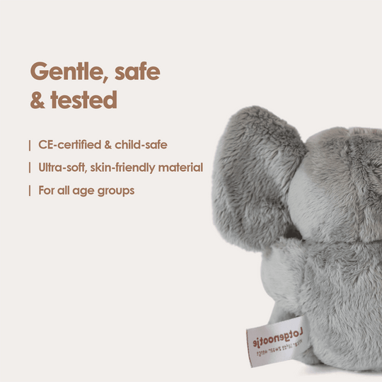 img-english
