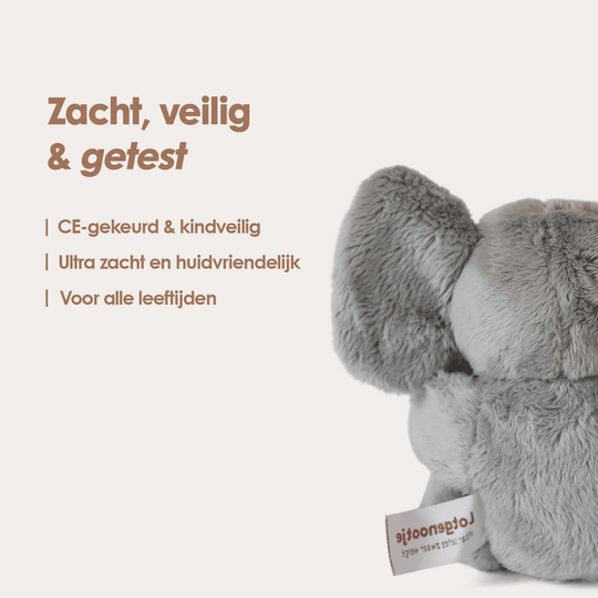 img-dutch