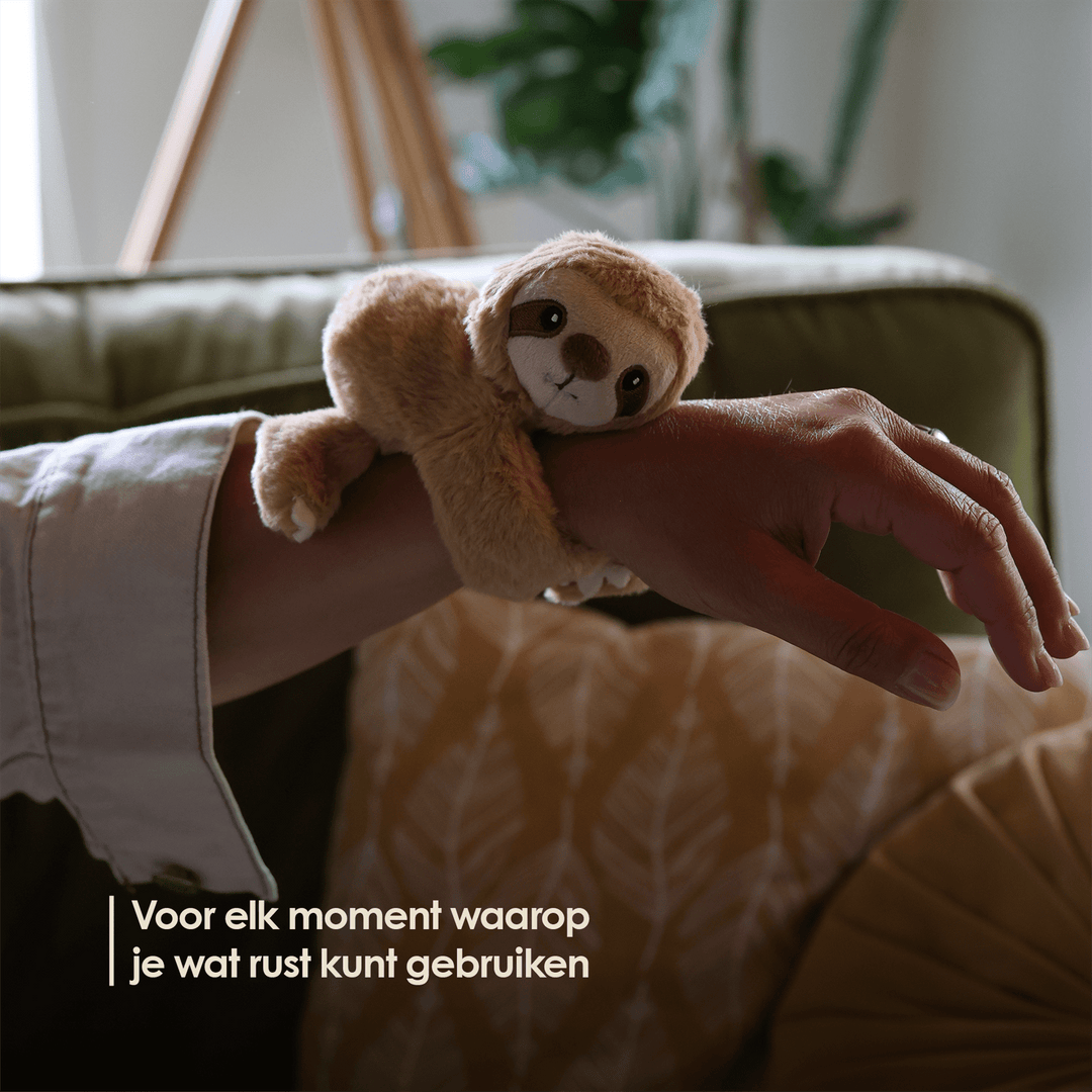 img-dutch